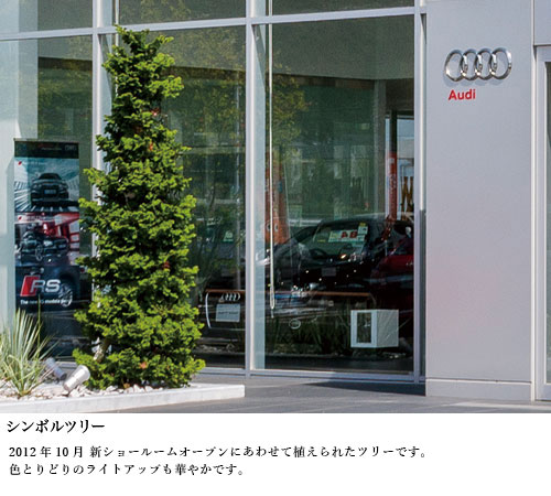 シンボルツリー